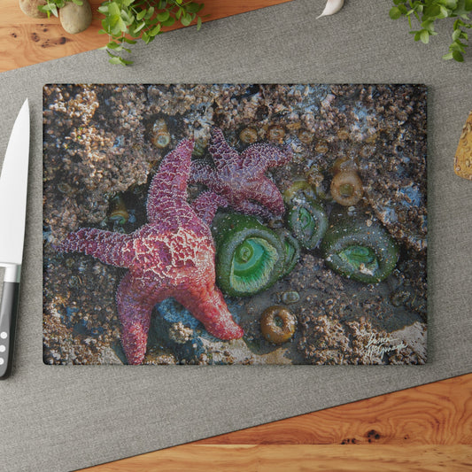 Gifts With Purpose: How to Choose Meaningful Design Presents in 2025