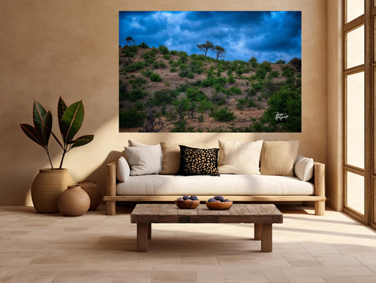 Why Nature-Inspired Design Is the Future of Home Décor