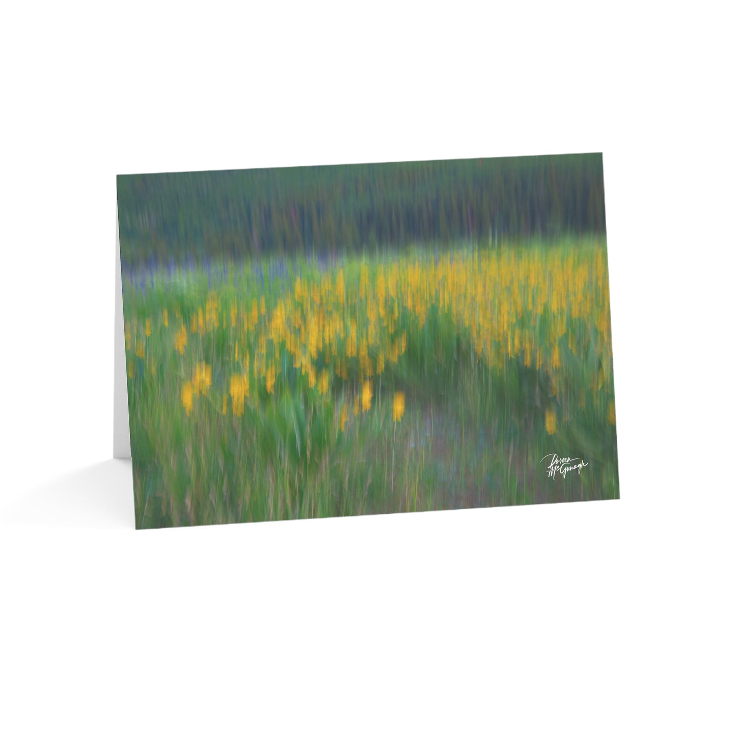 Floral Nature Greeting Cards | Eco-Friendly 5x7 Note Card Set from the Enjoy Nature Collection | Perfect for Inspirational Notes, Birthdays & Everyday Messages