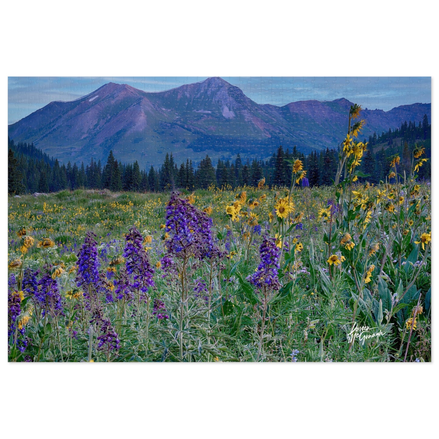 Nature Landscape Jigsaw Puzzle with Tin, Relaxing Indoor Fun, Gifts for Puzzle Lovers, Family Game Night, Home Decor, Beautiful Gift Idea Mountains & Lupines