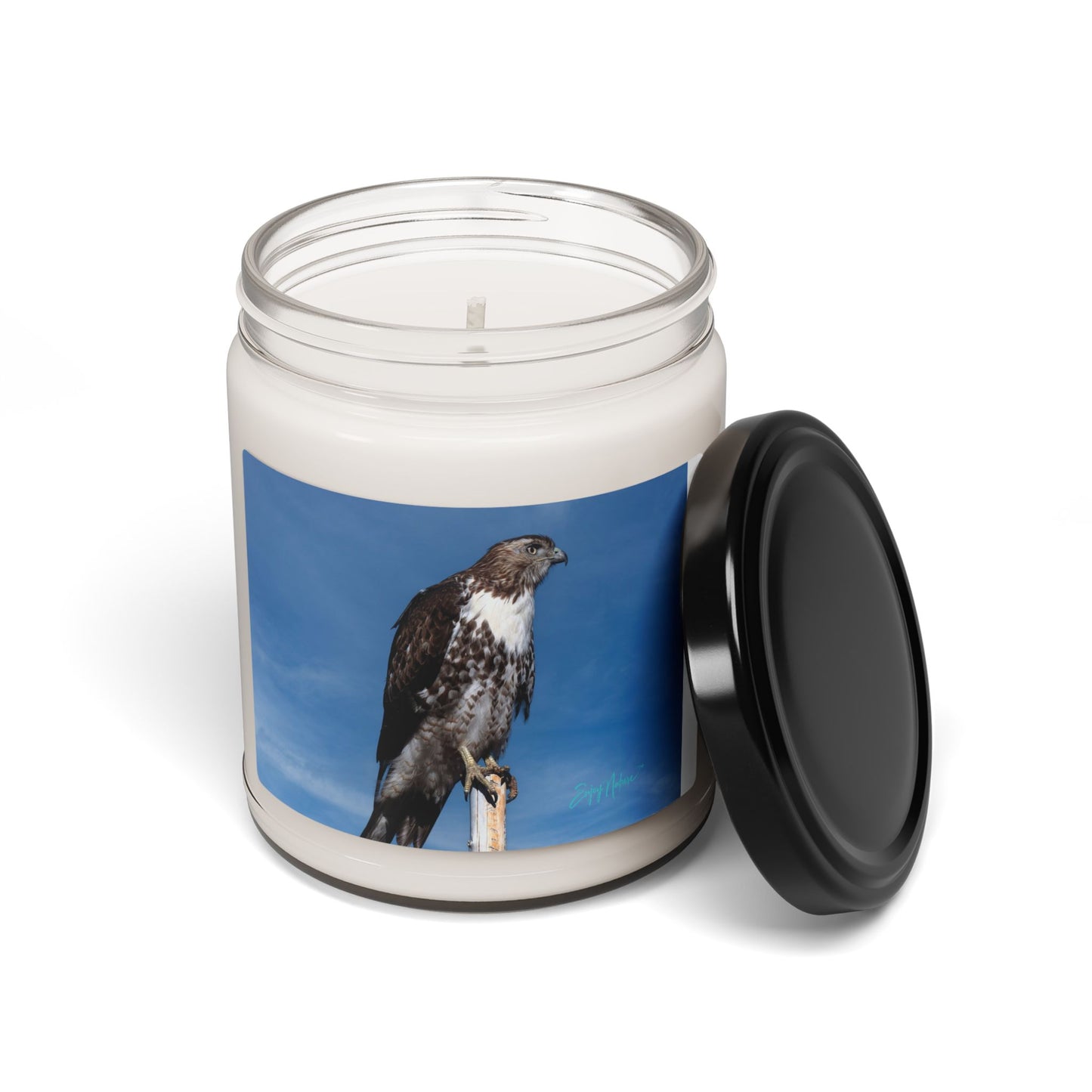 Osprey-Inspired Scented Soy Candle – Nature-Inspired Serenity for Bird Lovers