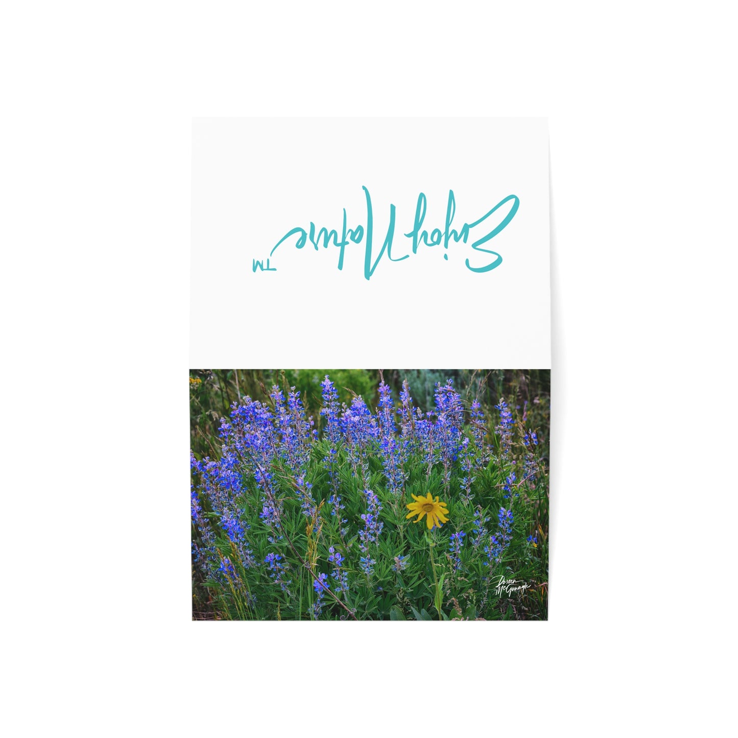 Box of 50 Nature-Inspired Greeting Cards | Wild Lupines & Daisy Design | Scenic 5x7 Note Cards, Handmade Stationery for Nature Lovers & All Occasions