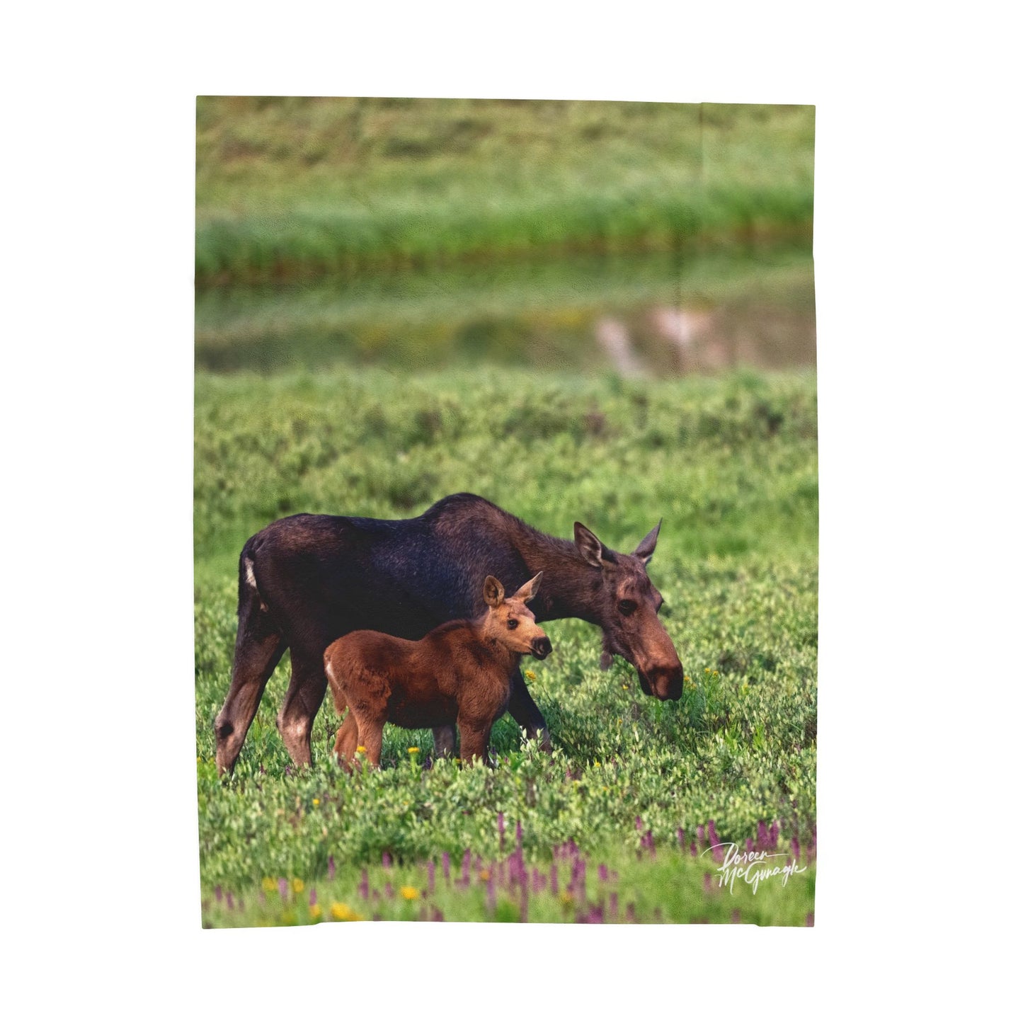Moose Family Velveteen Plush Blanket | Cozy Wildlife Blanket for Nature Lovers | Perfect for Home Decor or Gift Moose with baby