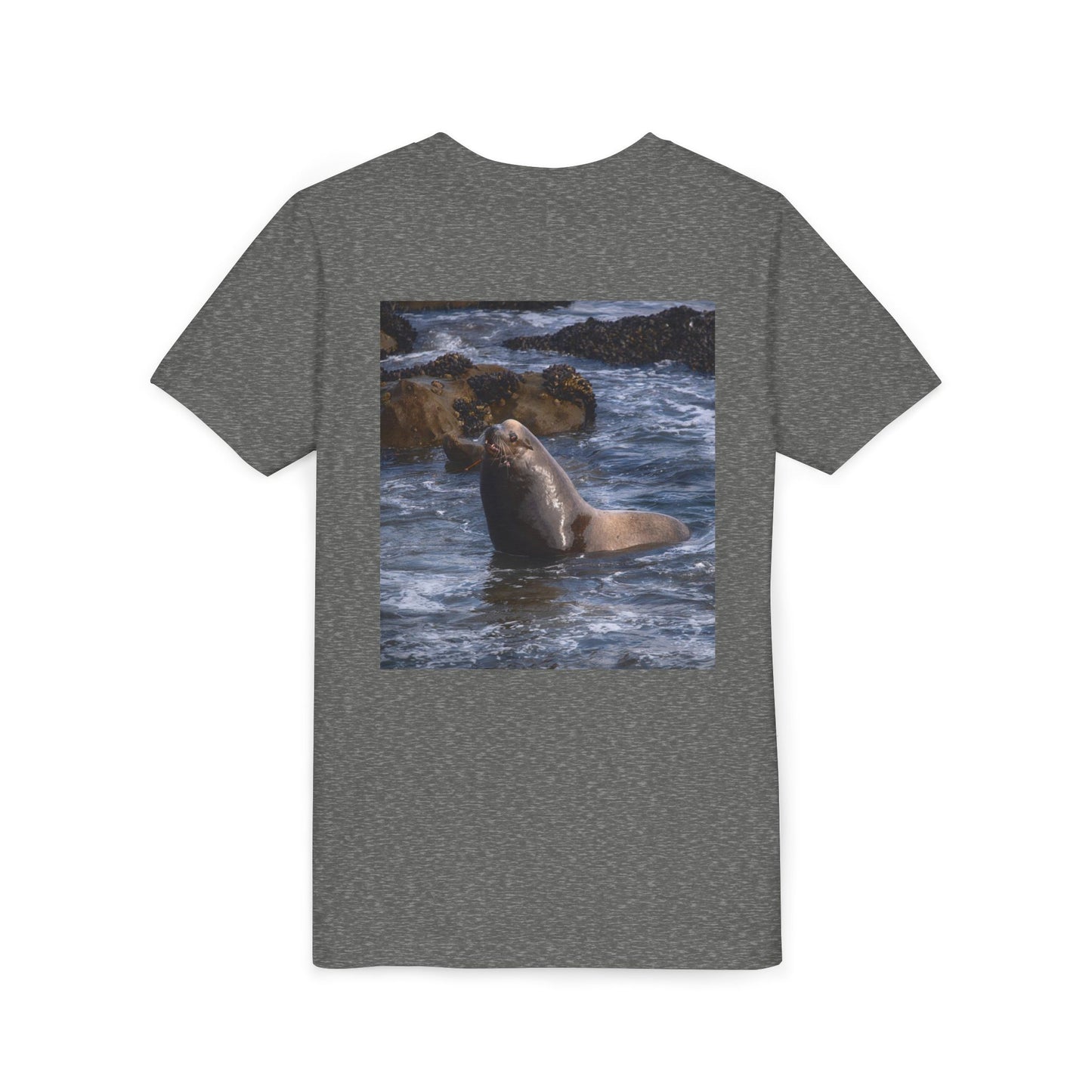 Youth T shirts Young Sea Virtuoso Sea Lion, t shirts for kids, inspired by nature