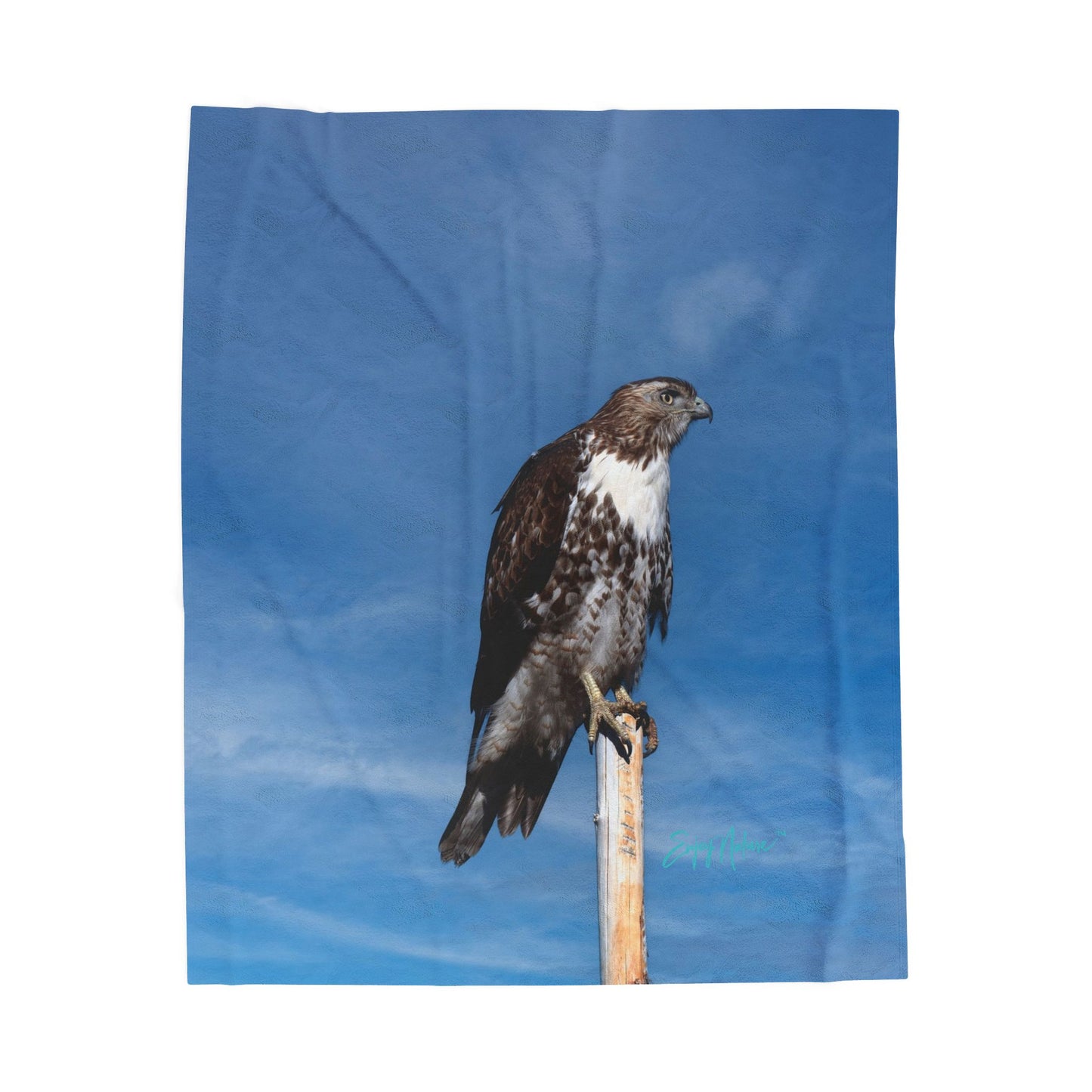 Osprey Velveteen Plush Blanket – Nature-Inspired Comfort for Bird and Wildlife Lovers