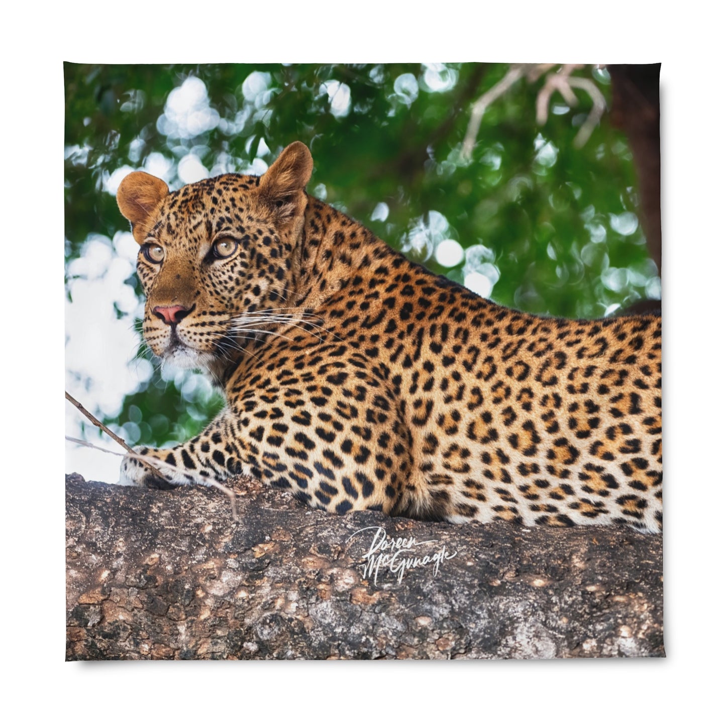 Enjoy Nature Leopard in Tree Duvet Cover