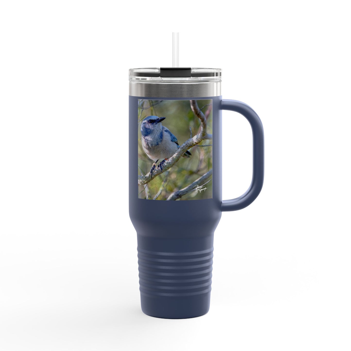 Florida Scrub Jay Insulated Travel Mug – 40oz Stainless Steel Wildlife-Inspired Drinkware