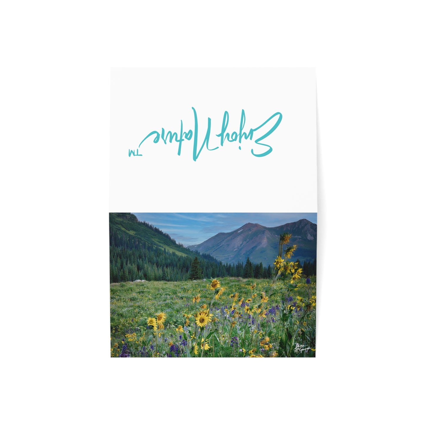 Nature-Themed Greeting Cards | Eco-Friendly Boxed 5x7 Note Cards with Yellow Daisies & Colorado Mountains | Ideal for Birthdays, Thank You, & Special Occasions