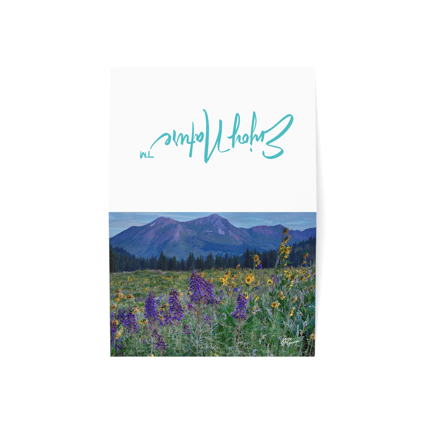 Nature-Inspired Greeting Cards, Elegant Eco-Friendly Cards for All Occasions, Perfect for Thank You & Just Because, Scenic Mountain & Mountains & Lupines