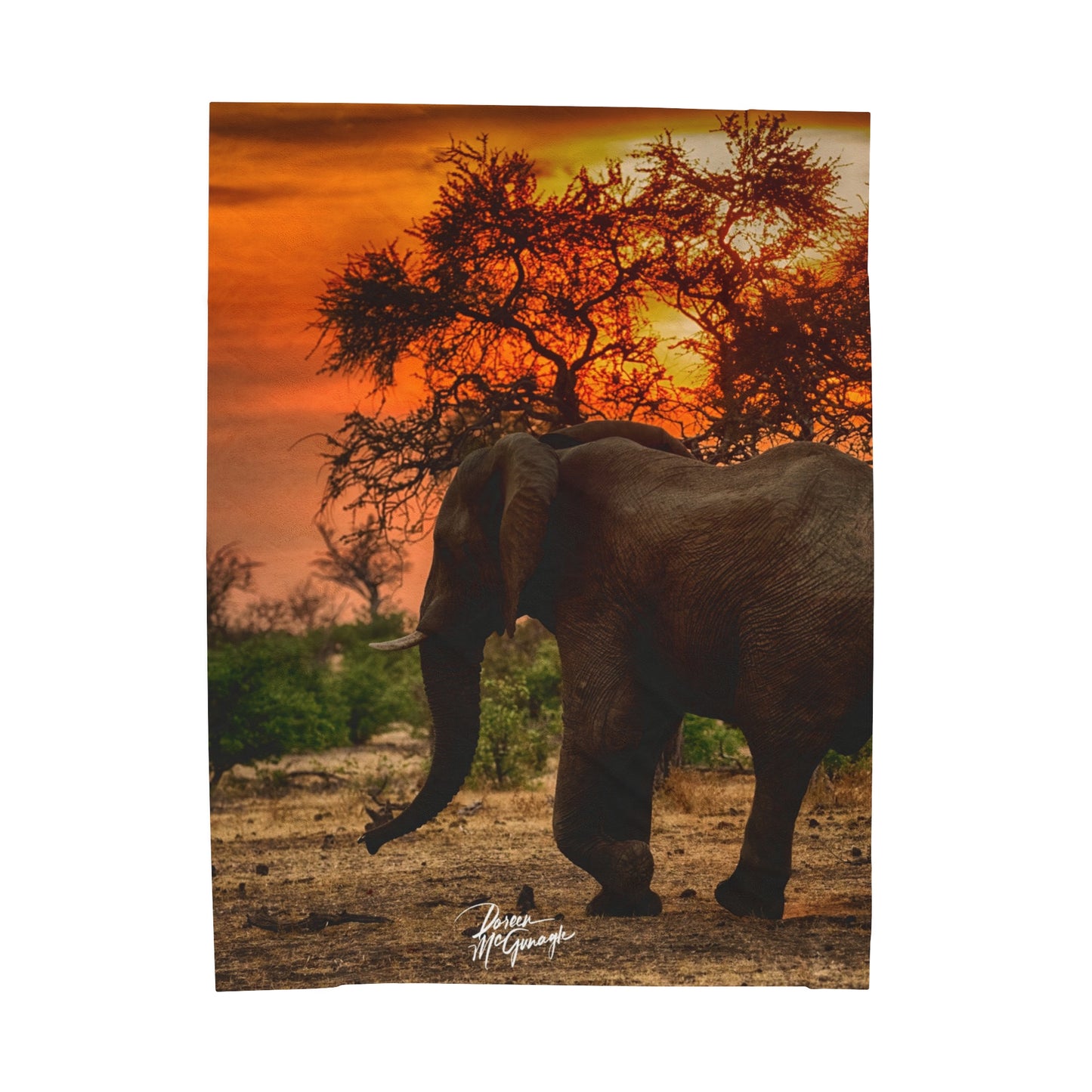 Velveteen Plush Blanket with Spirited Elephant Herd by Enjoy Nature
