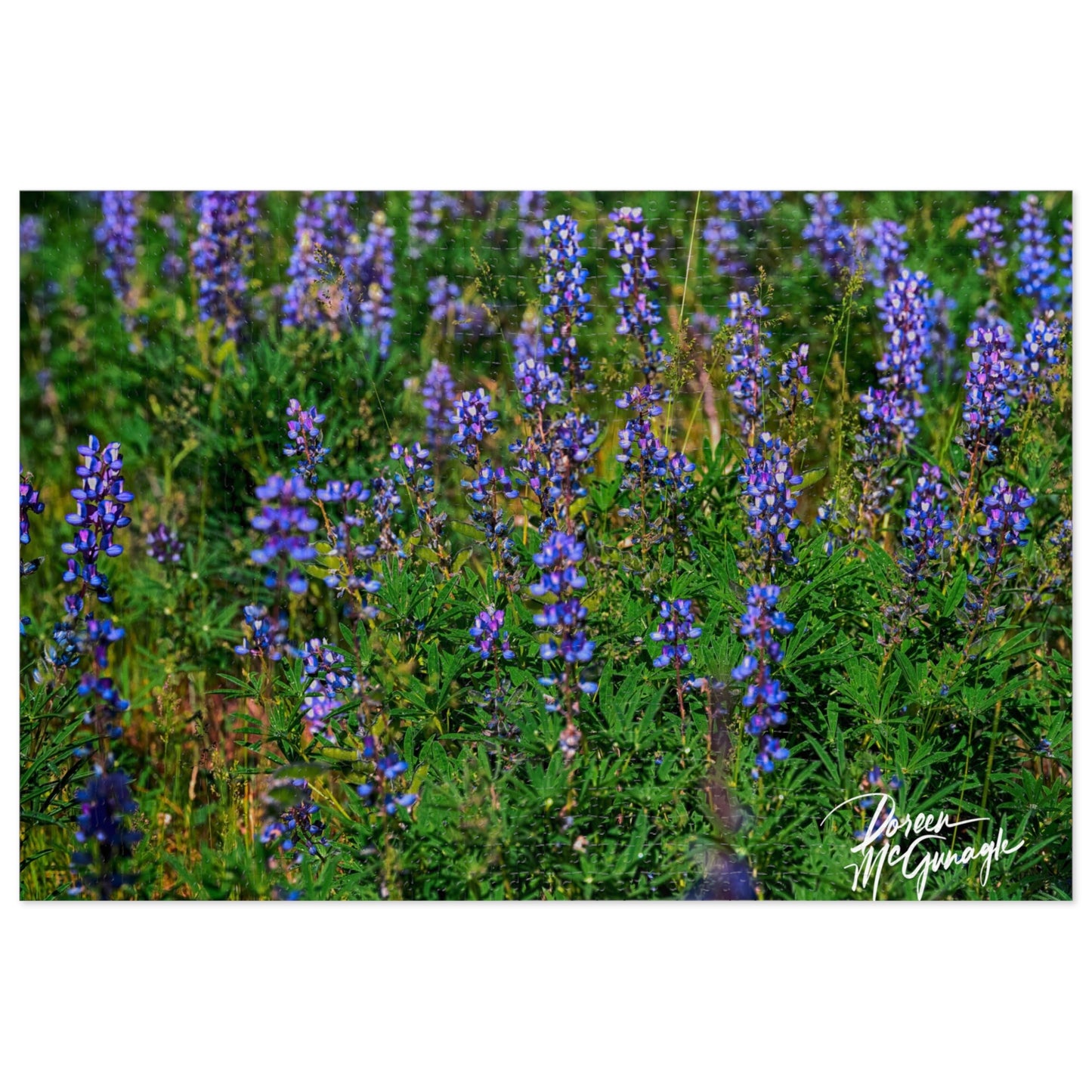 Wild Lupines Jigsaw Puzzle | Nature Inspired Puzzle for Relaxation | Enjoy Nature & Earthy Décor Fun