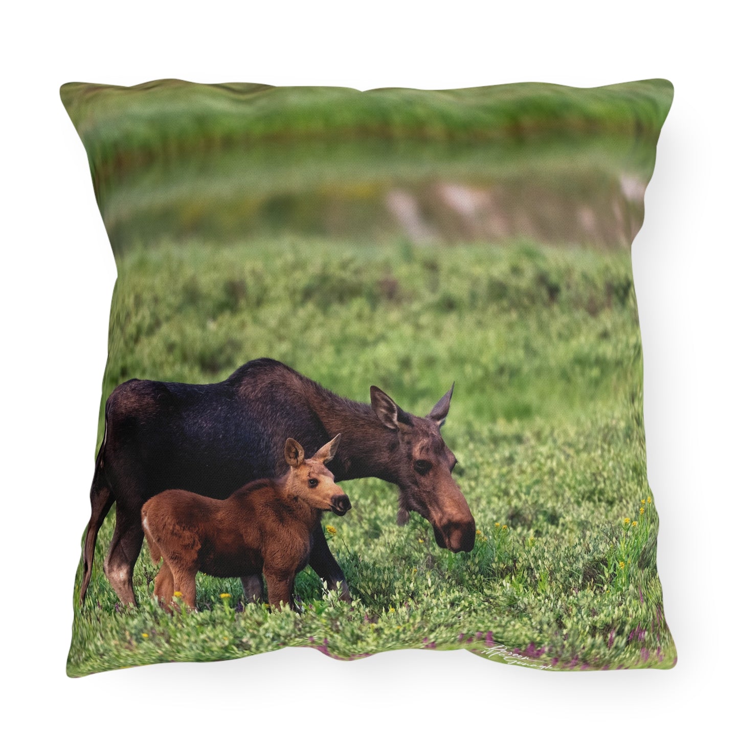 Mother Moose with Baby Accent Pillow | Nature Inspired Comfy Couch Pillows | Enjoy Nature Collection Décor