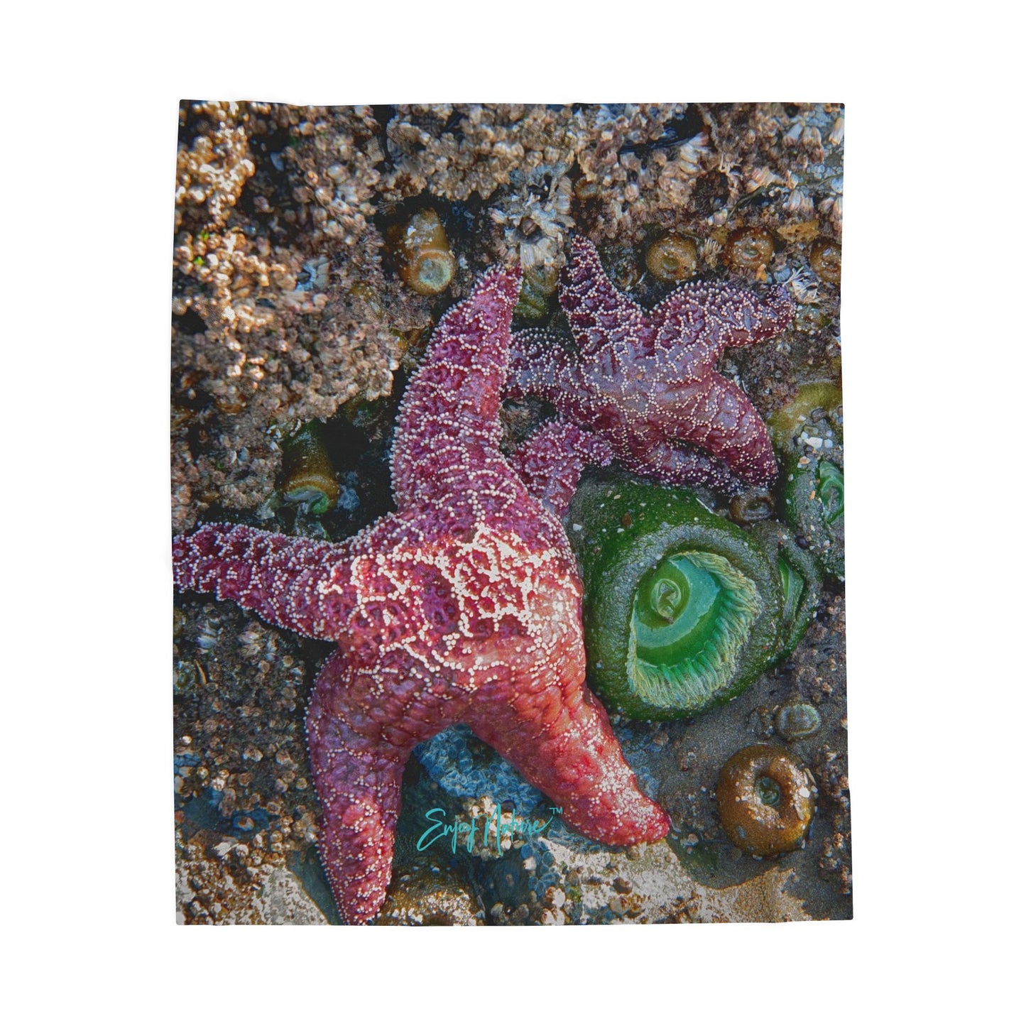 Starfish Velveteen Plush Blanket – Ocean-Inspired Comfort for Coastal Living