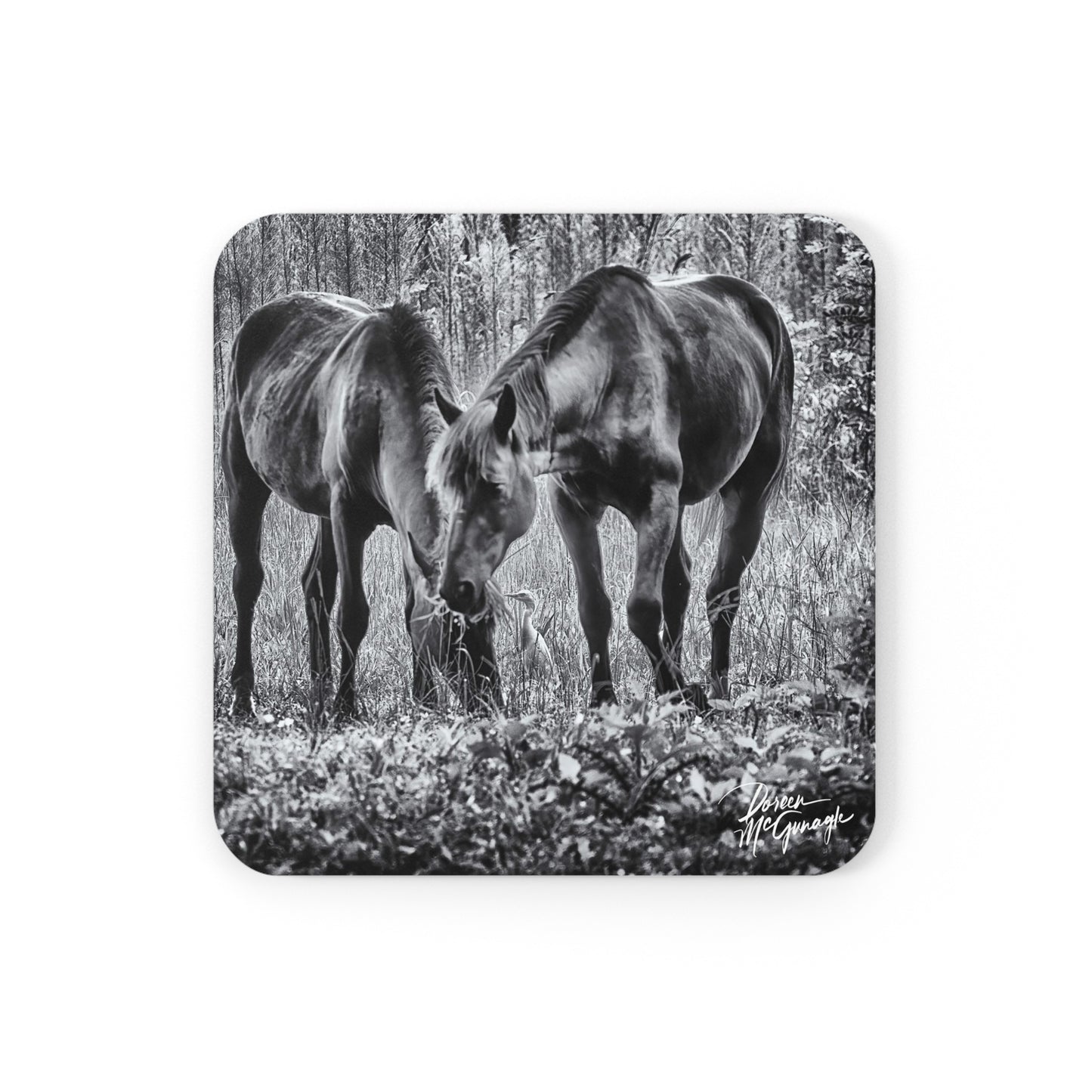 Wildlife coaster, nature coaster, absorbent coaster, coasters colorful, modern coasters, Pair of Wild Horses Grazing in Pasture