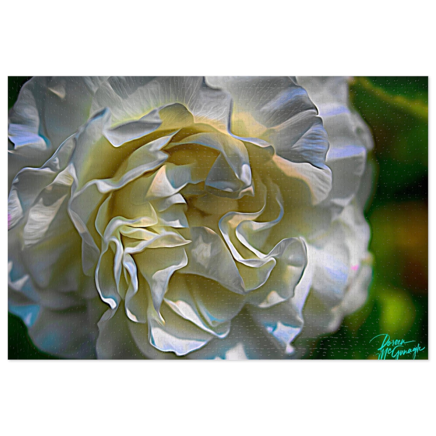 Nature Puzzles, Nova Scotia White Rose Bloom, inspired by nature