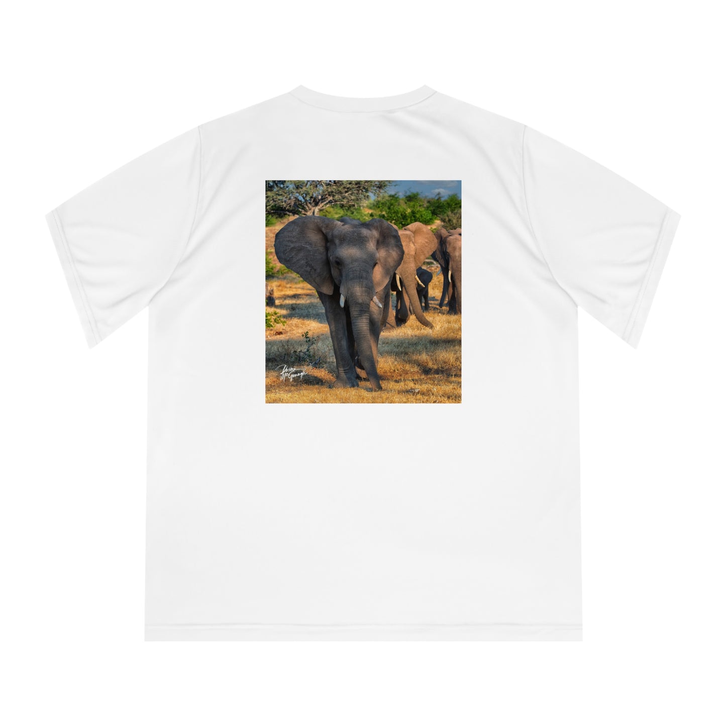 Women's Performance V-Neck T-Shirt - Elephant Family Walking by Enjoy Nature