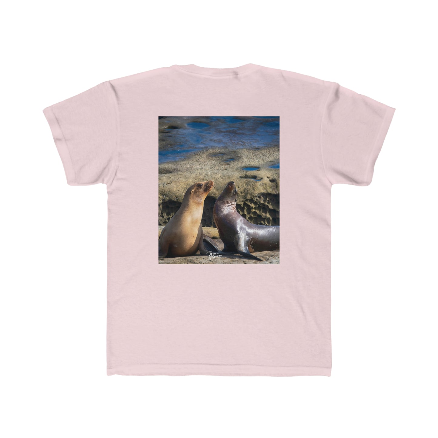 Youth T shirts Playful Serenade Sea Lions, t shirts for kids, inspired by nature