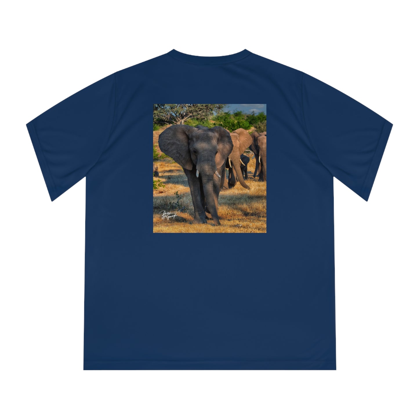 Women's Performance V-Neck T-Shirt - Elephant Family Walking by Enjoy Nature