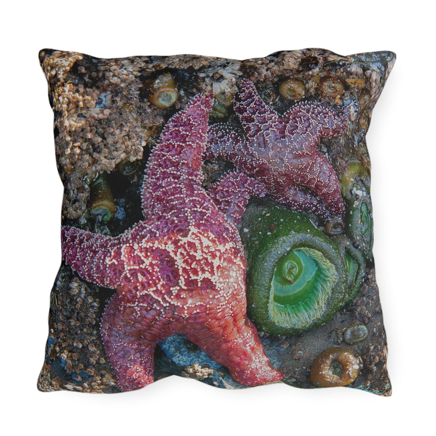 Starfish Outdoor Pillow – Coastal Comfort for Beach-Inspired Living