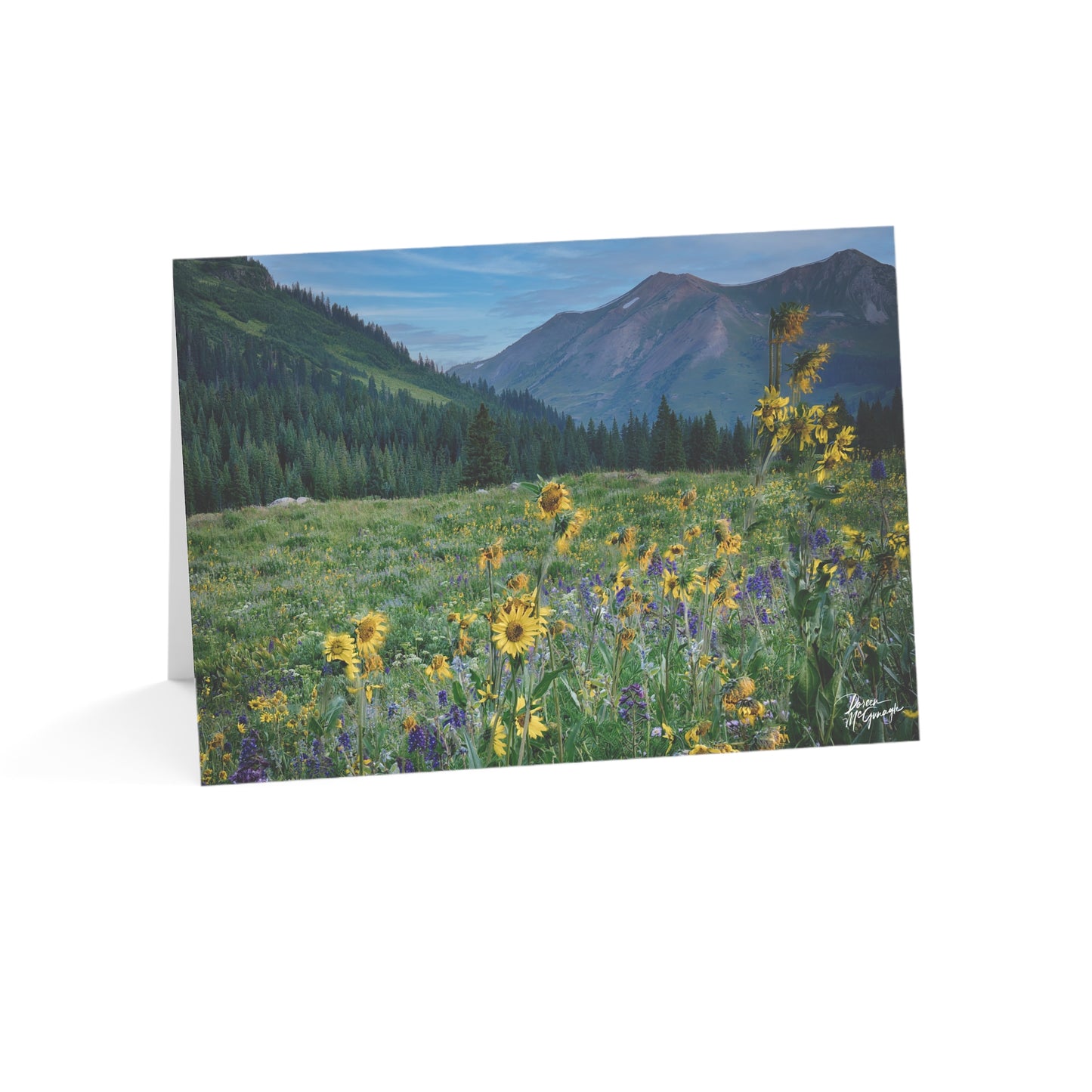 Nature-Themed Greeting Cards | Eco-Friendly Boxed 5x7 Note Cards with Yellow Daisies & Colorado Mountains | Ideal for Birthdays, Thank You, & Special Occasions