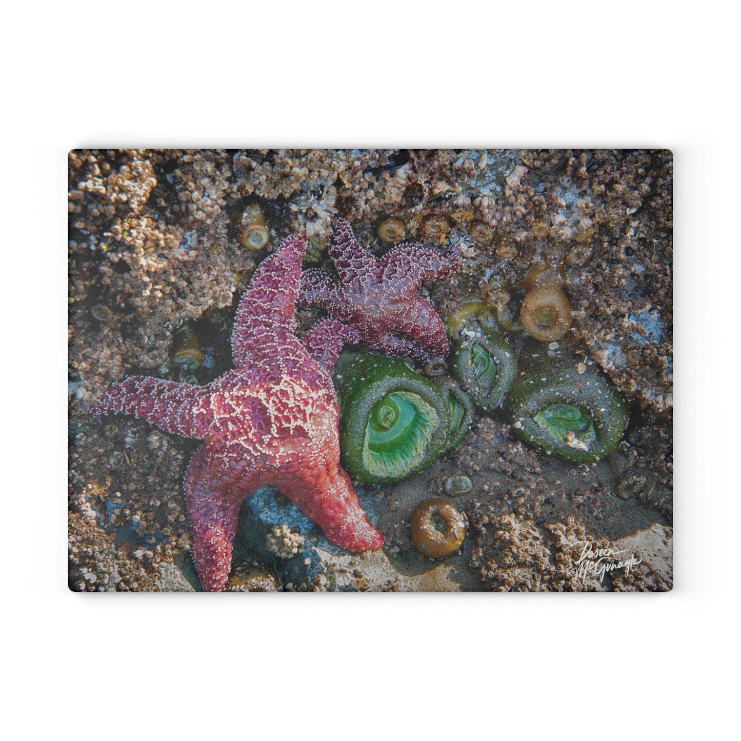 Ocean-Themed Marine Life Glass Cutting Board – Coastal Kitchen Elegance