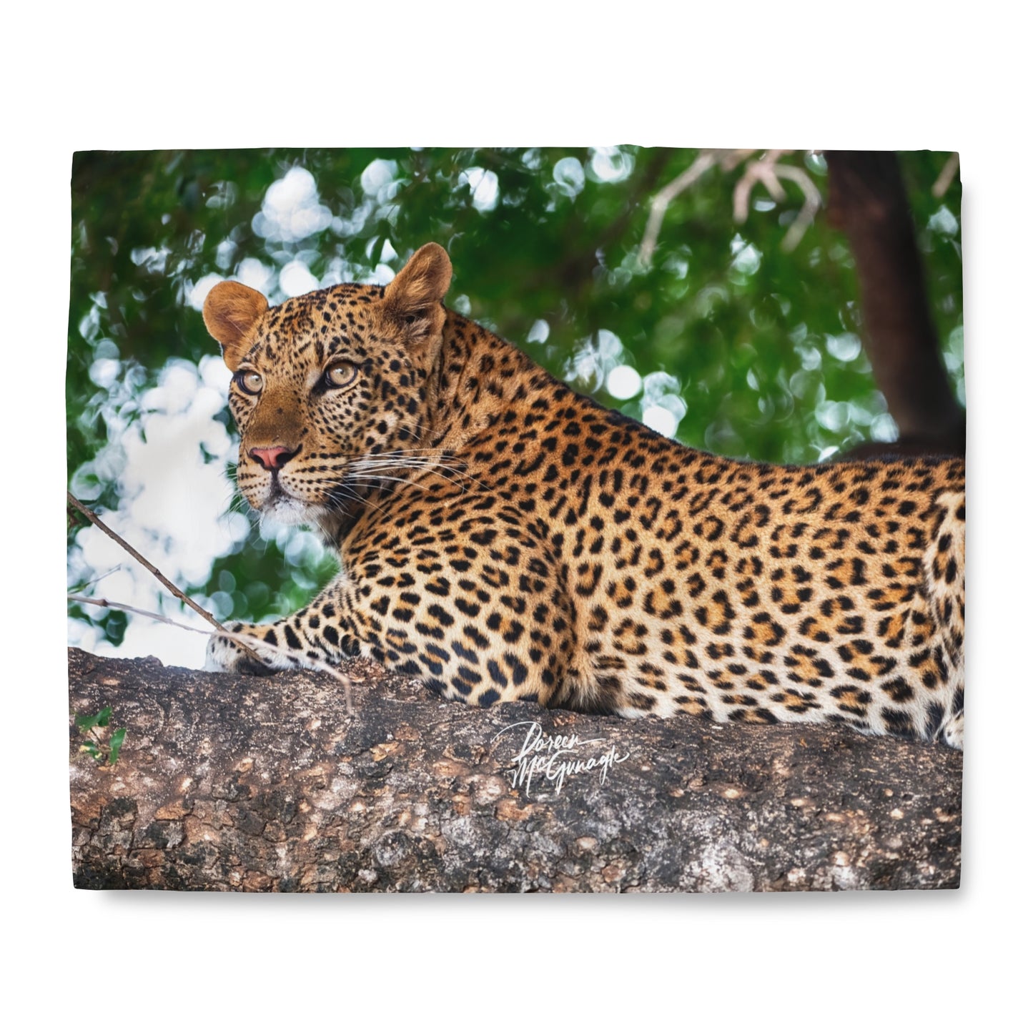 Enjoy Nature Leopard in Tree Duvet Cover