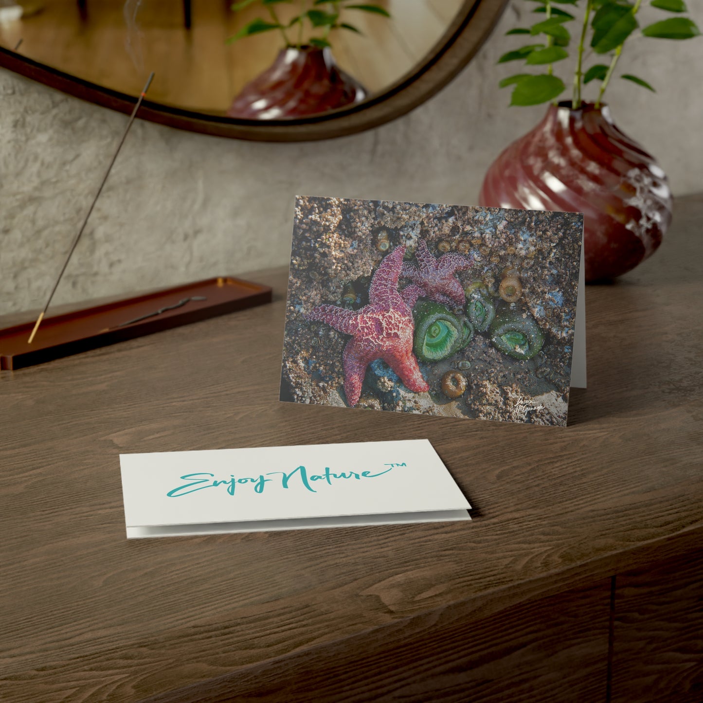 Marine Life Starfish Greeting Card Set – Nature-Inspired Stationery for Every Occasion | 5x7 note cards