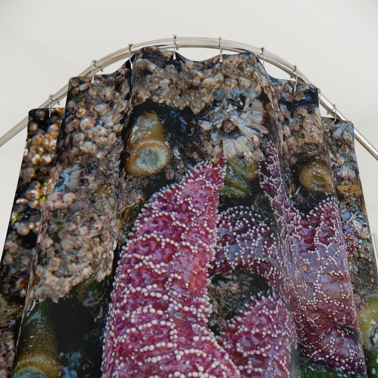 Shower Curtain: Vibrant Ocean-Themed Design – Coastal Marine Life Décor