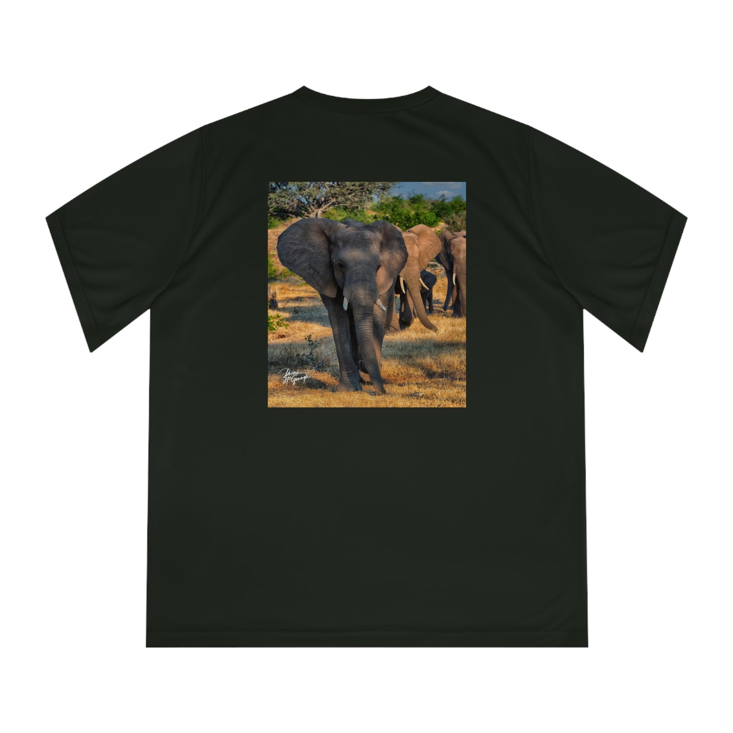 Women's Performance V-Neck T-Shirt - Elephant Family Walking by Enjoy Nature