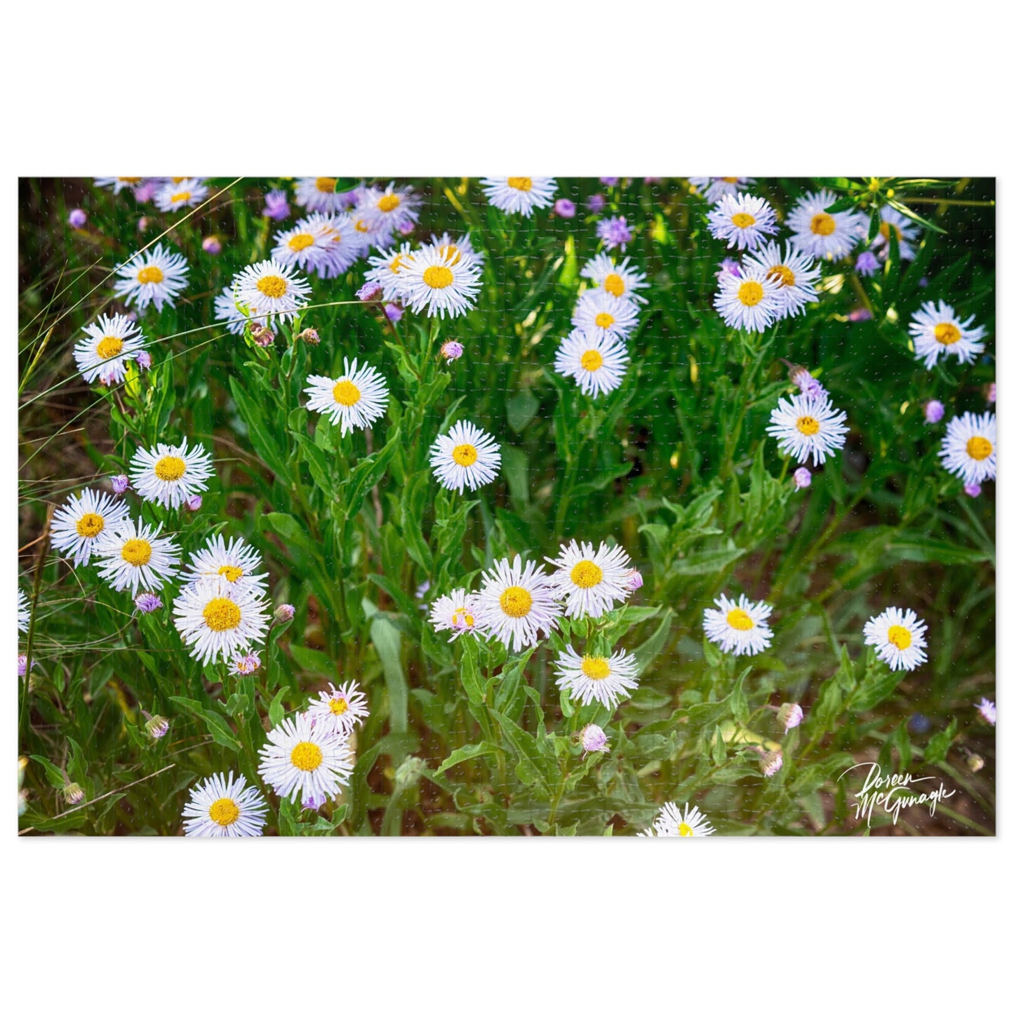 Jigsaw Puzzle - Wildflower Fine Art Image
