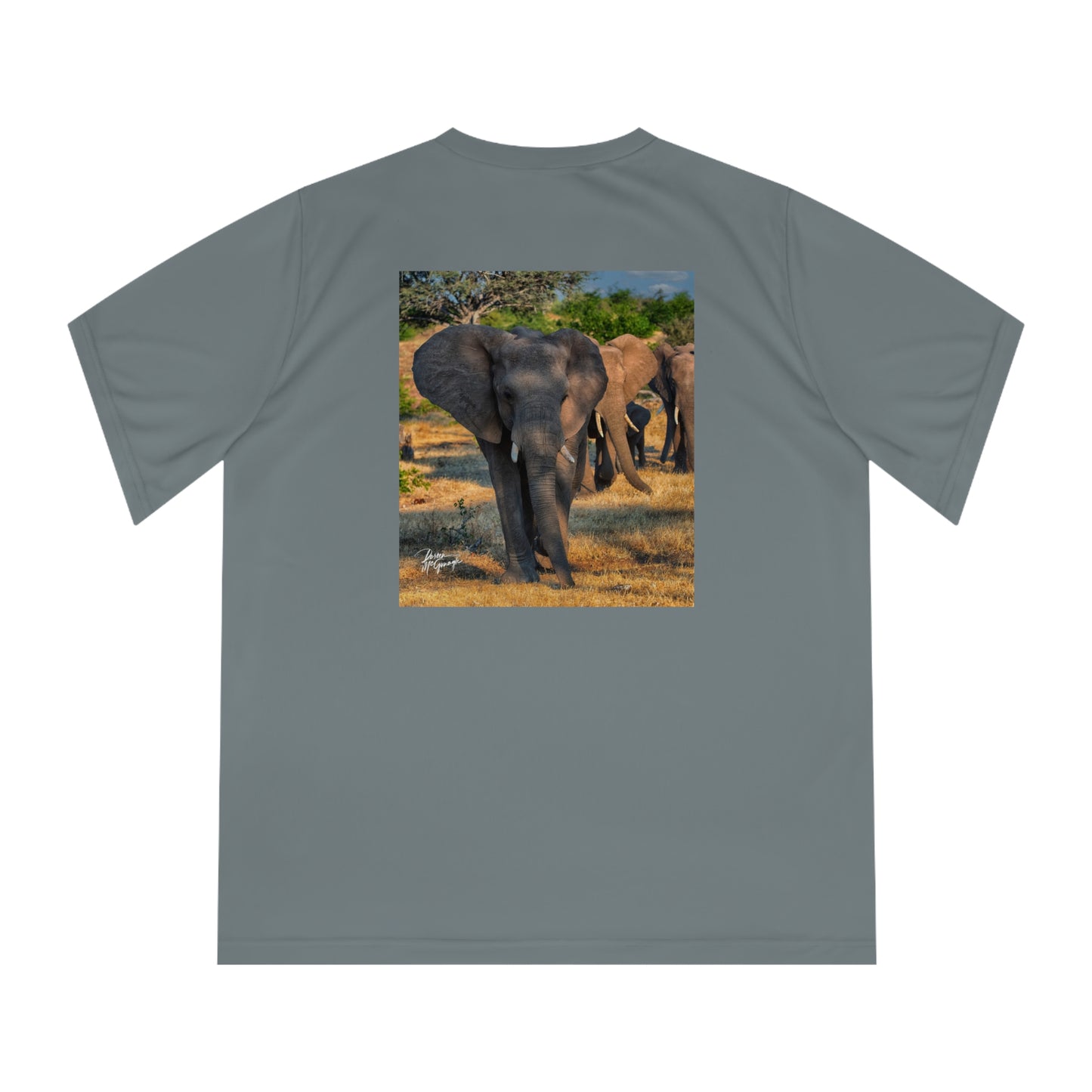 Women's Performance V-Neck T-Shirt - Elephant Family Walking by Enjoy Nature