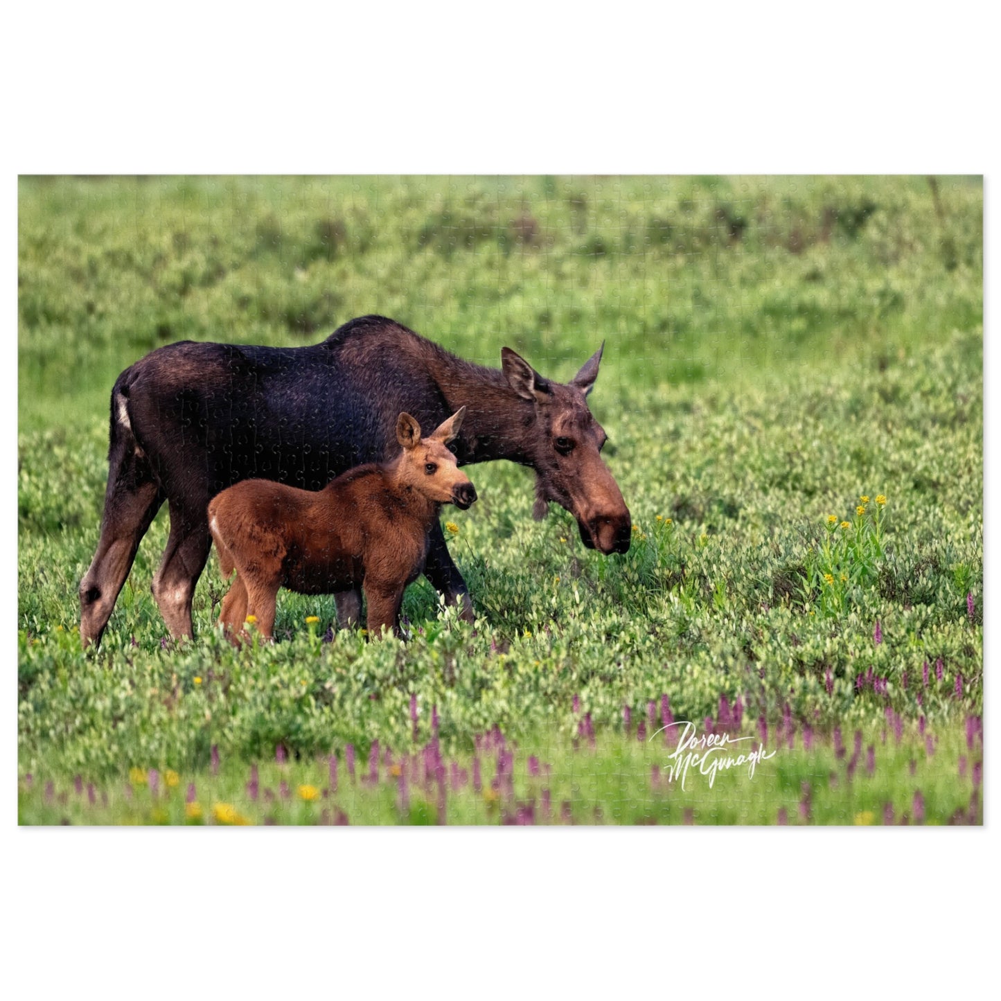 Nature-Themed Jigsaw Puzzle with Moose and Calf Design, Family Activity, Gift for Nature Lovers, Home Decor, Unique Gift Idea
