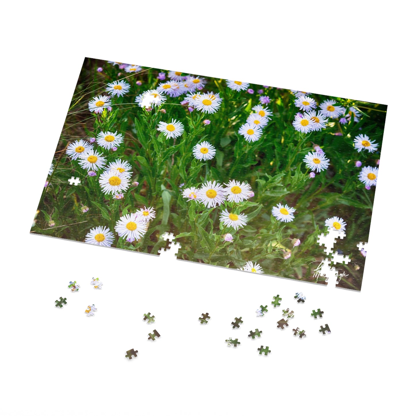Jigsaw Puzzle - Wildflower Fine Art Image