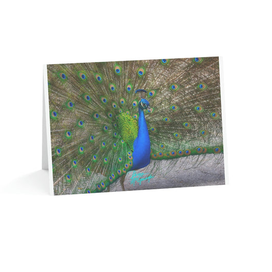 How do fine art note cards featuring landscapes add a personal touch to correspondence?