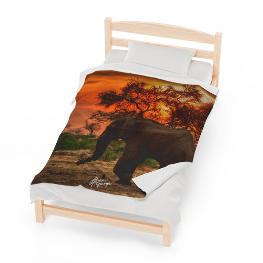 How can fine art nature photography merchandise inspire a deeper connection to wildlife?