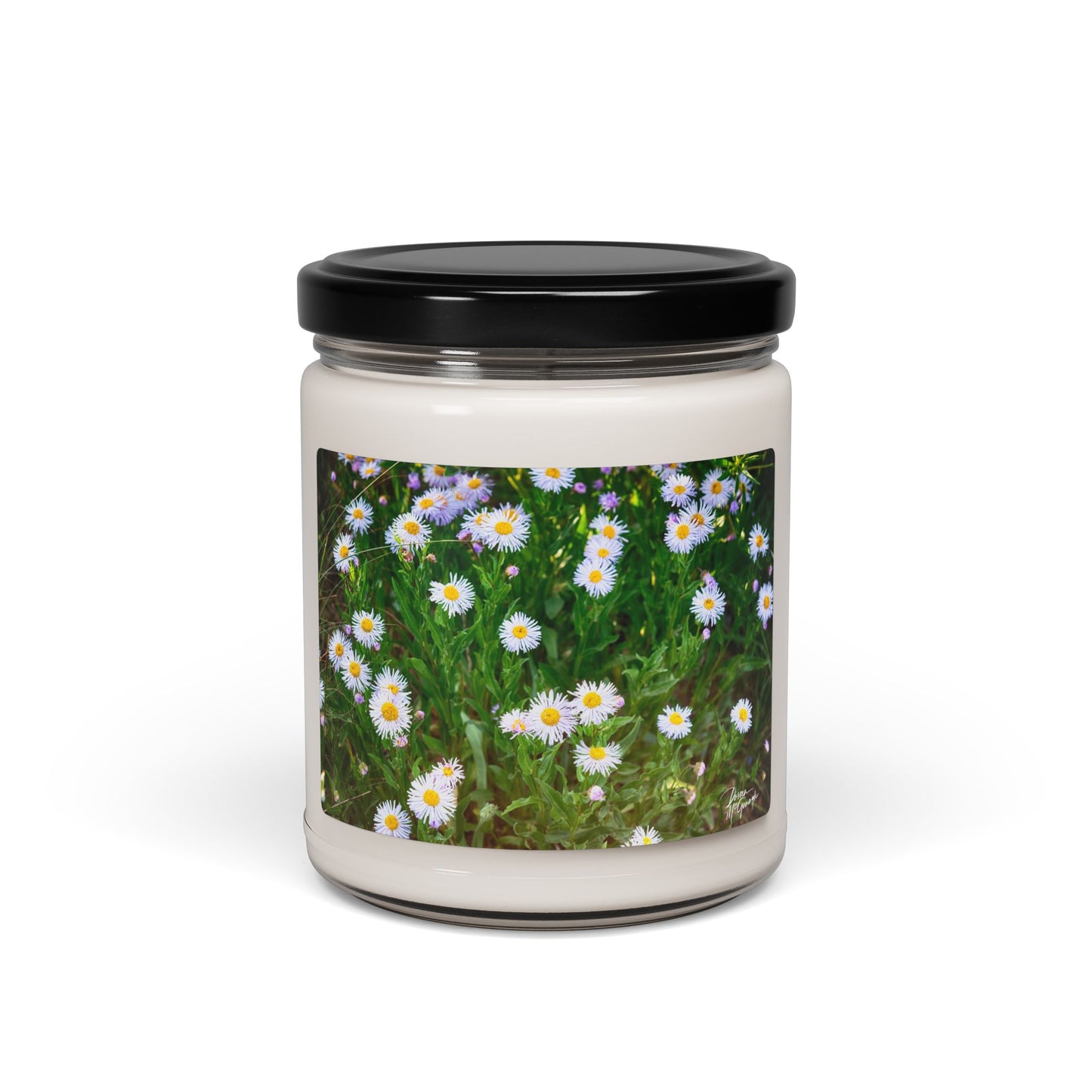 Floral Breeze of Wild Daisies Soy Candle, Aromatherapy Candle, Home Decor, Relaxation Gift, Eco-friendly Gift