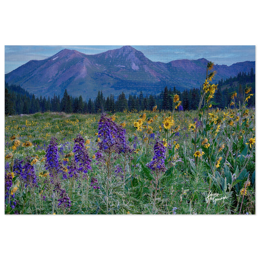 Nature Landscape Jigsaw Puzzle with Tin, Relaxing Indoor Fun, Gifts for Puzzle Lovers, Family Game Night, Home Decor, Beautiful Gift Idea Mountains & Lupines
