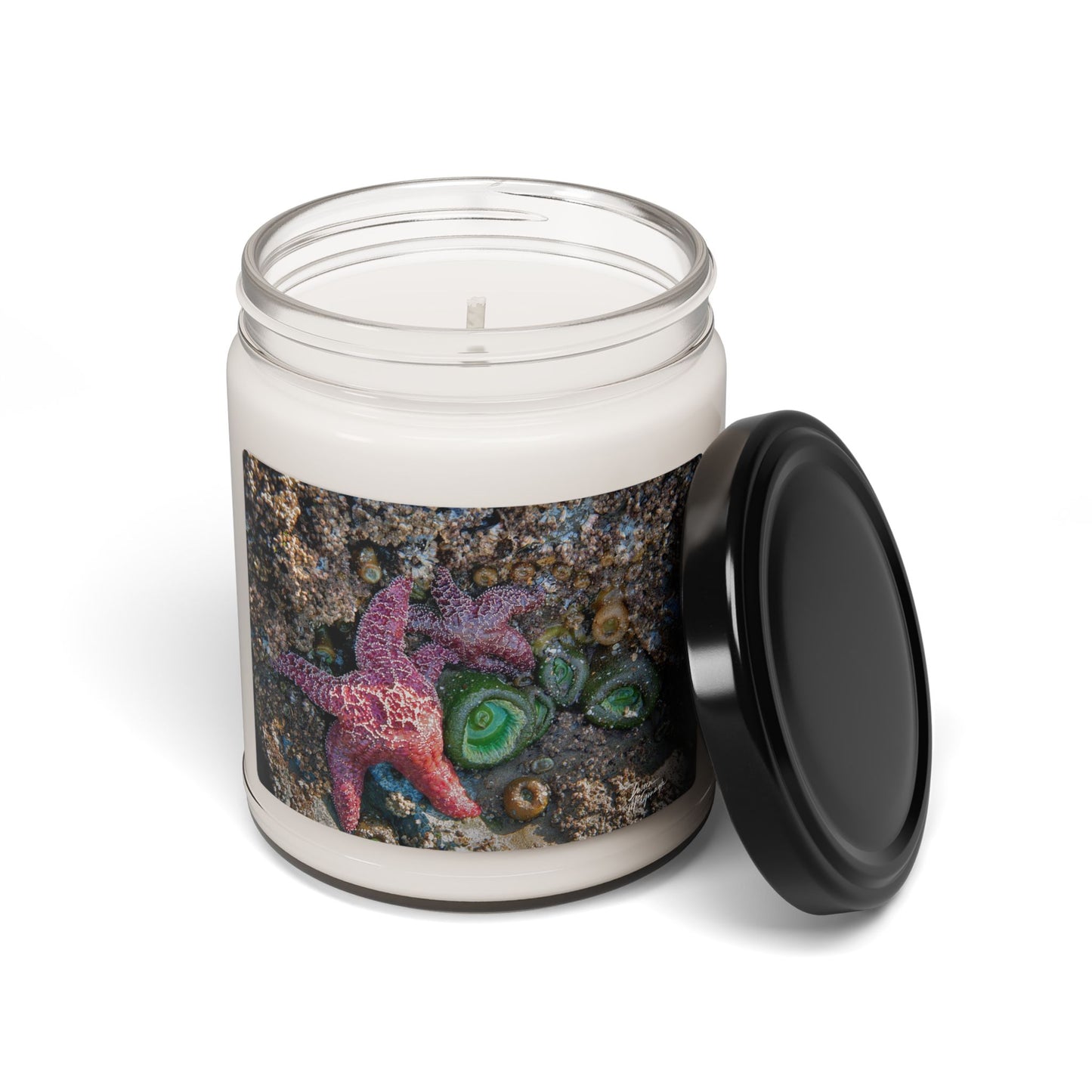 Beach-Inspired Scented Soy Candle – Coastal Serenity and Marine Life Elegance