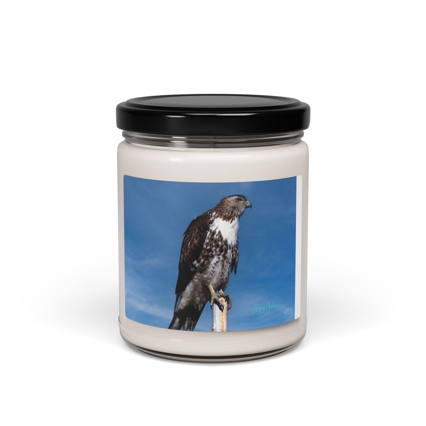 Osprey-Inspired Scented Soy Candle – Nature-Inspired Serenity for Bird Lovers