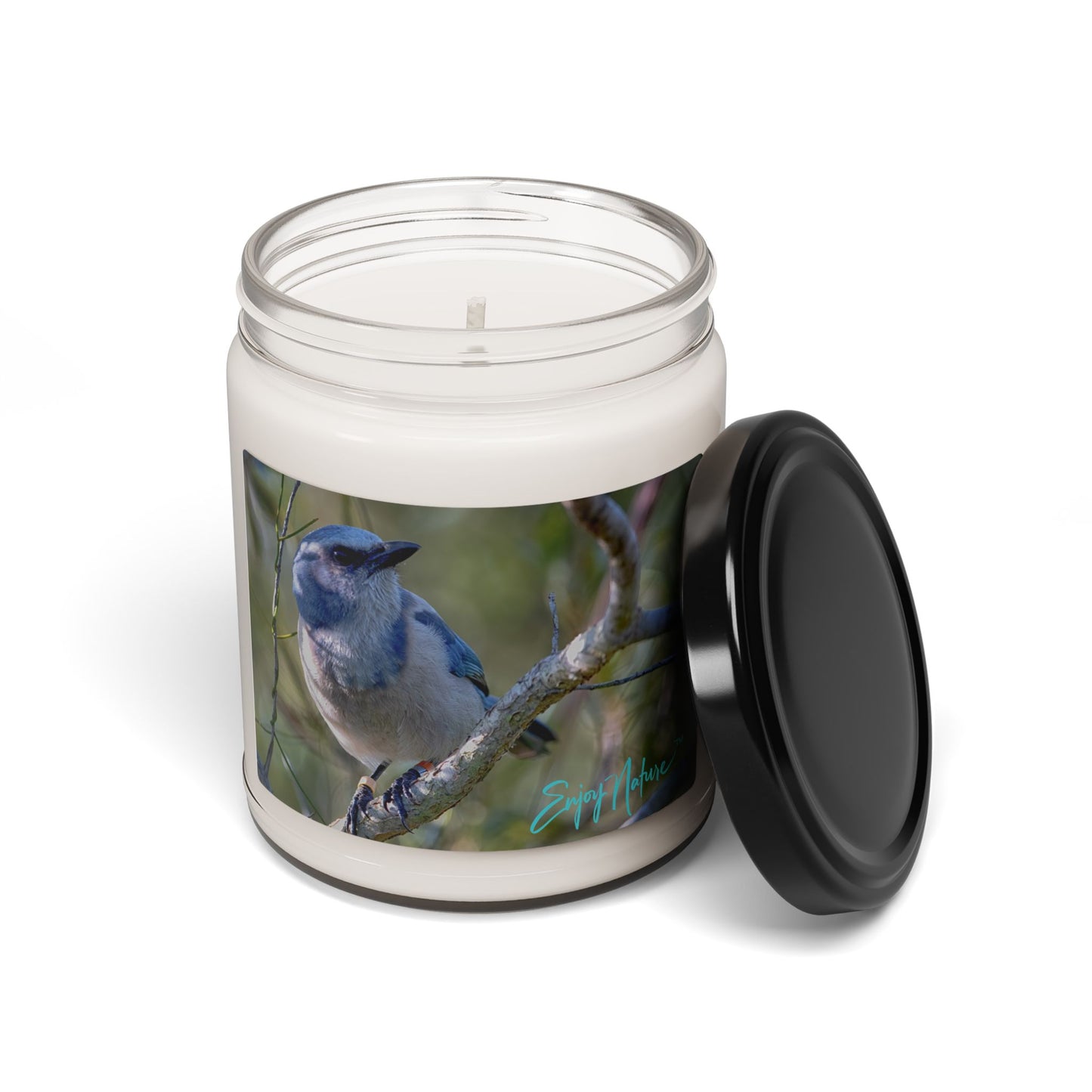 Scrub Jay Scented Soy Candle – Eco-Friendly Aromatherapy in Reusable Glass Jar | Enjoy Nature Collection