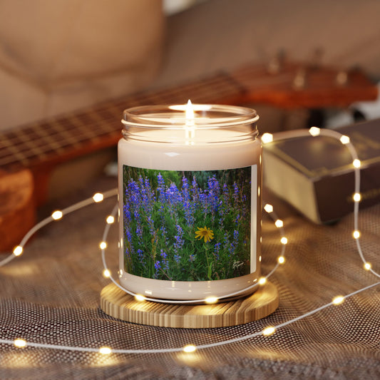 Natural Floral Wild Lupines with yellow Daisy, Scented Soy Candle, Relaxing Home Decor, Eco-Friendly Gift, Aromatherapy for Self-Care, Perfect for Birthdays & Weddings