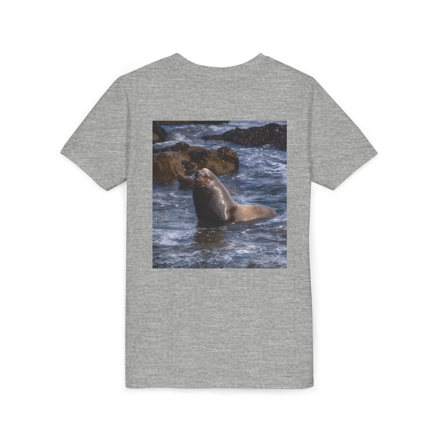 Youth T shirts Young Sea Virtuoso Sea Lion, t shirts for kids, inspired by nature