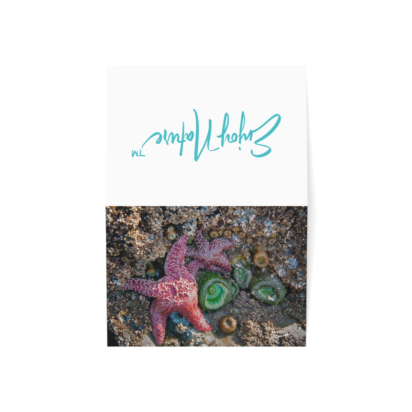 Marine Life Starfish Greeting Card Set – Nature-Inspired Stationery for Every Occasion | 5x7 note cards