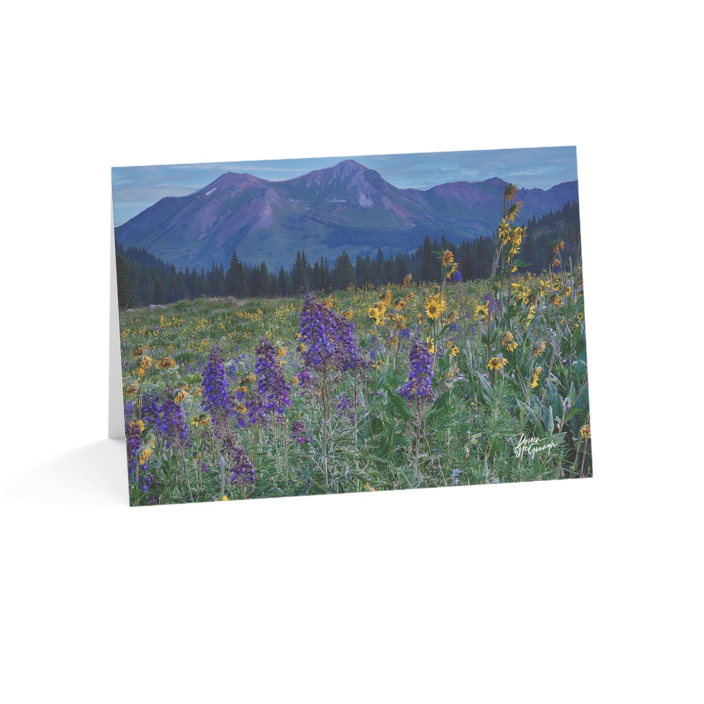 Nature-Inspired Greeting Cards, Elegant Eco-Friendly Cards for All Occasions, Perfect for Thank You & Just Because, Scenic Mountain & Mountains & Lupines