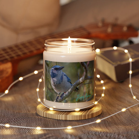 Scrub Jay Scented Soy Candle – Eco-Friendly Aromatherapy in Reusable Glass Jar | Enjoy Nature Collection