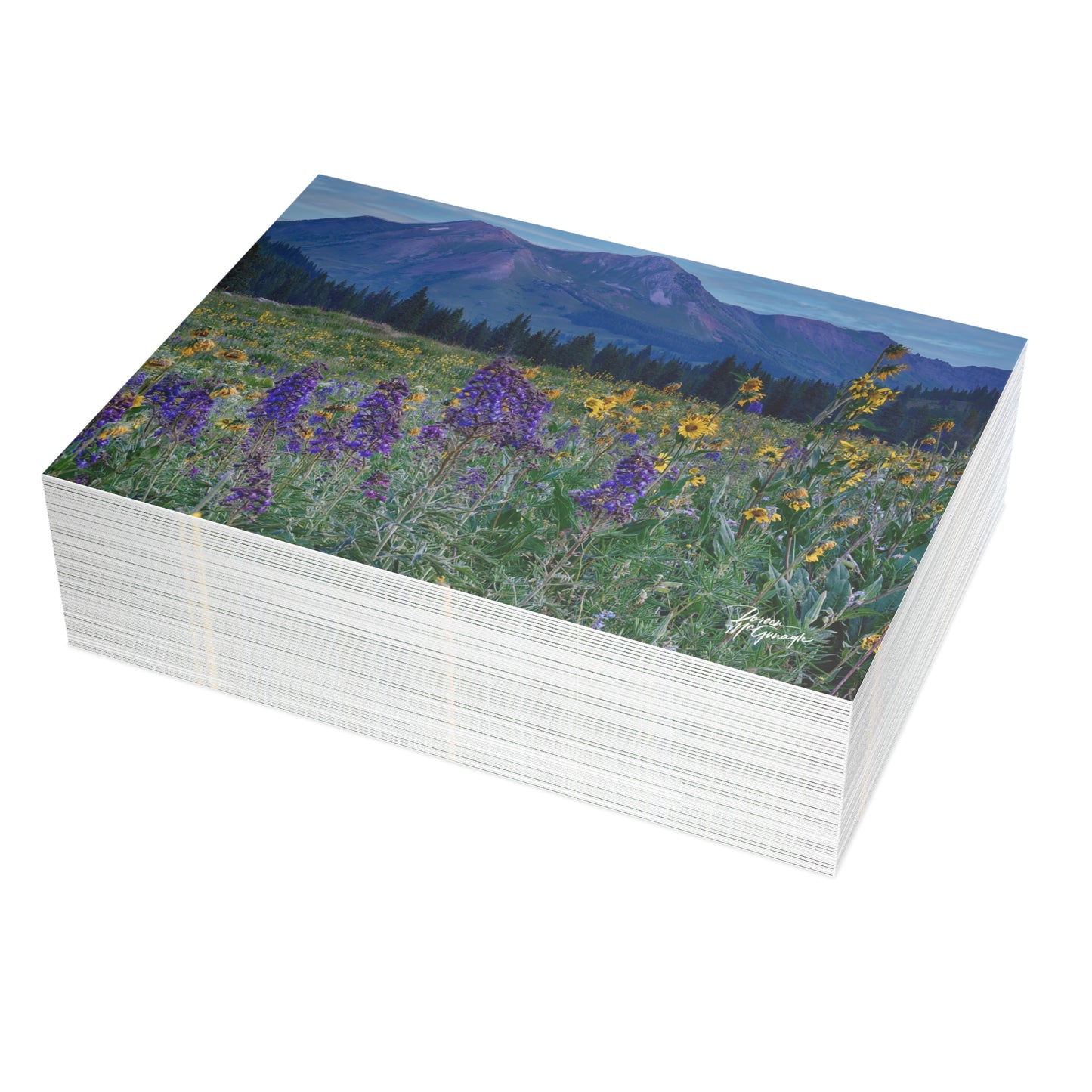 Nature-Inspired Greeting Cards, Elegant Eco-Friendly Cards for All Occasions, Perfect for Thank You & Just Because, Scenic Mountain & Mountains & Lupines