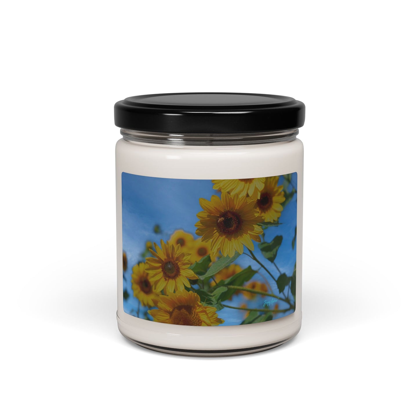 Sunflower Scented Soy Candle | Eco-Friendly Candle, Gifts for Her, Relaxation, Home Decor, Birthday, Aromatherapy Daisy