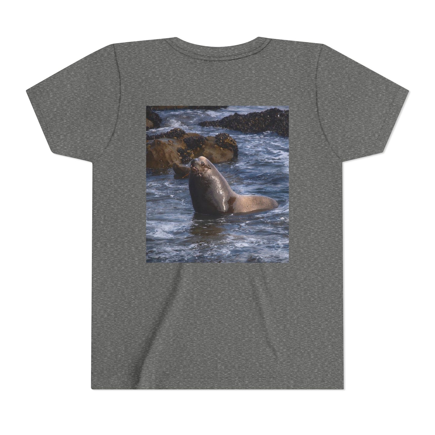 Youth T shirts Young Sea Virtuoso Sea Lion, t shirts for kids, inspired by nature