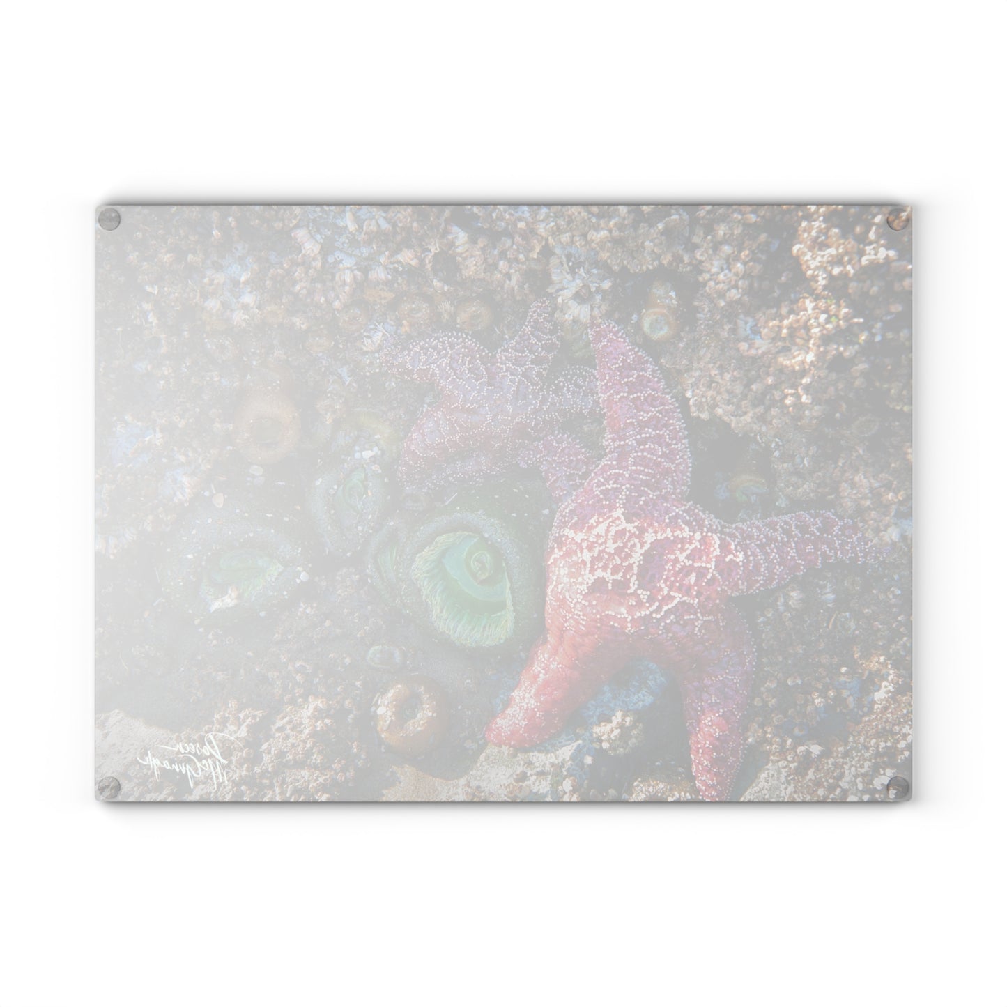 Ocean-Themed Marine Life Glass Cutting Board – Coastal Kitchen Elegance