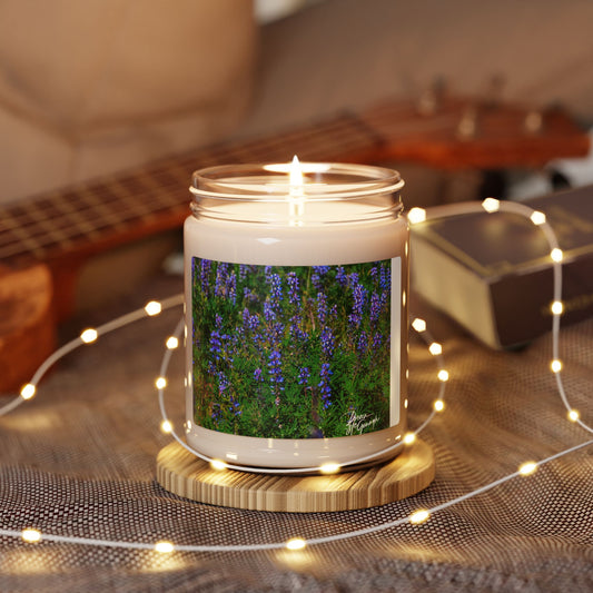 Scented Soy Candle 9oz – Wild Lupines | Eco-Friendly Aromatherapy Candle for Relaxation, Home Décor & Thoughtful Gifts